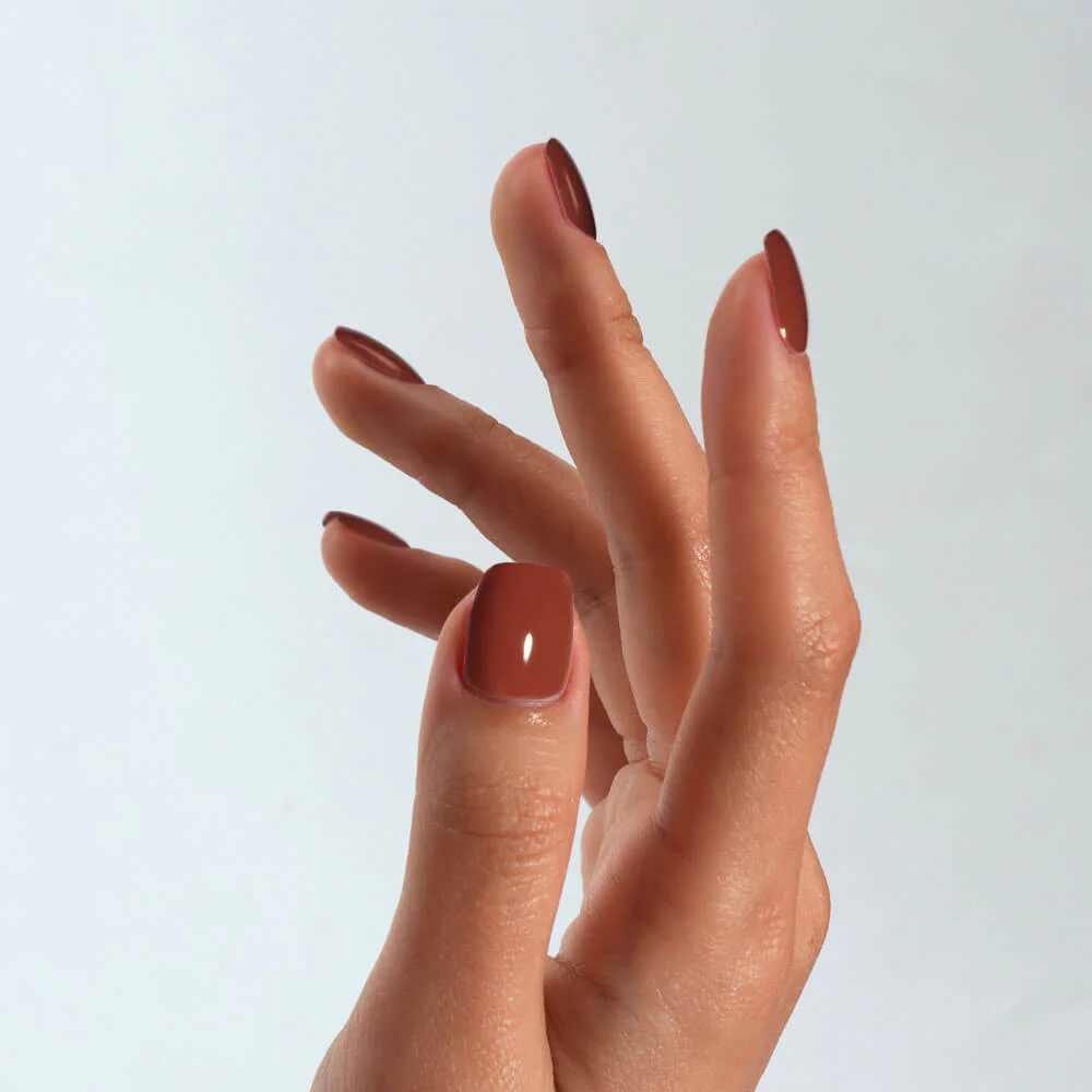 No. 058 Quick Brown Fox - Image 3